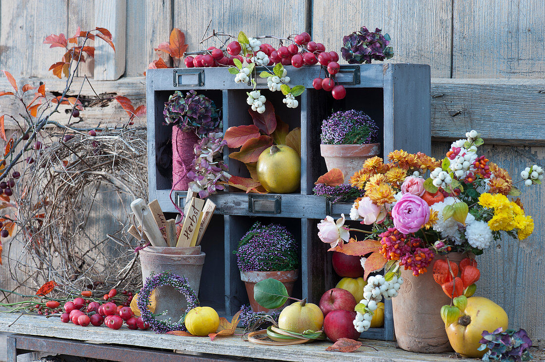 Bunte Herbstdekoration mit Strauß aus Chrysanthemen, Rosen, Schneebeeren, Lampions und Pfaffenhütchen, Äpfel, Zieräpfel, Quitten, Heidekugeln in Tontöpfchen