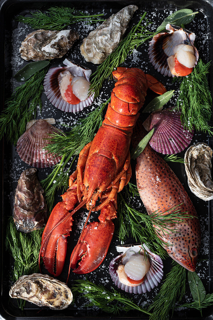 Lobster, various seashells, fish and green herbs