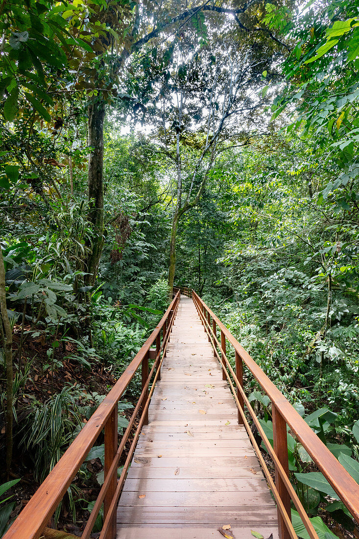 Lapas Rojas Eco Lodge, Halbinsel Osa, Costa Rica, Zentralamerika, Amerika