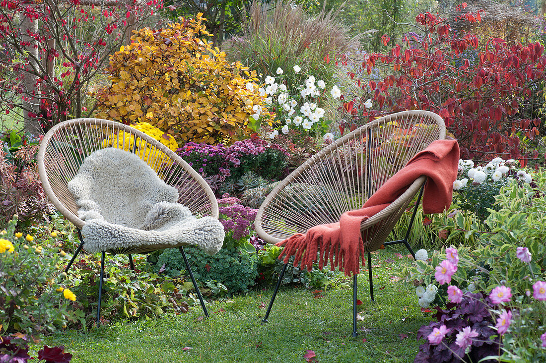 Seating area in the autumn garden bed with perennials and woody plants