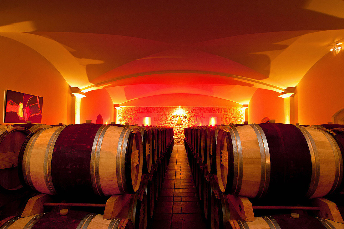 Barrel cellar, Chateau Angelus, Saint-Emilion, Bordeaux, France