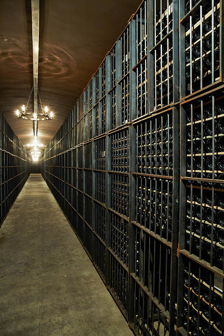 Rarity cellar, Mouton-Rothschild, Bordeaux, France