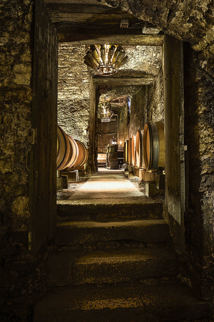 Naturkeller, Domaine Clos Lambrays, Burgund, Frankreich