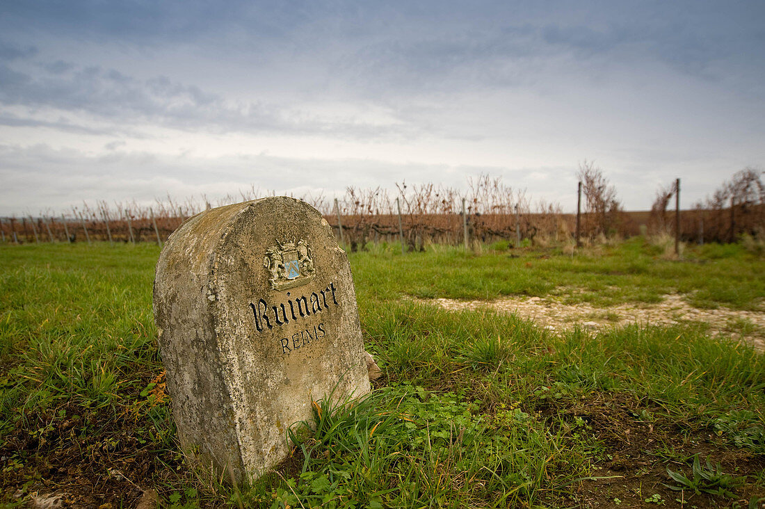 A boundary stone, Champagne Ruinart, Reims, France
