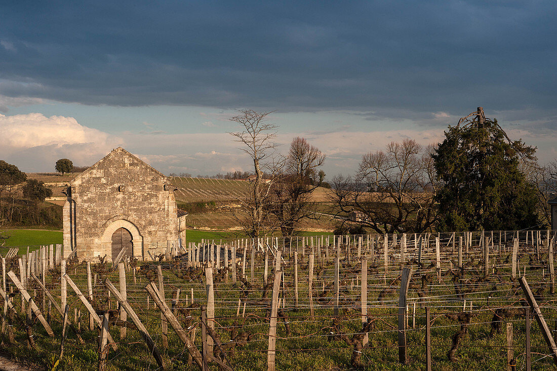 Weinlandschaft, Château Ausone, Saint-Emilion, Bordeaux, Frankreich