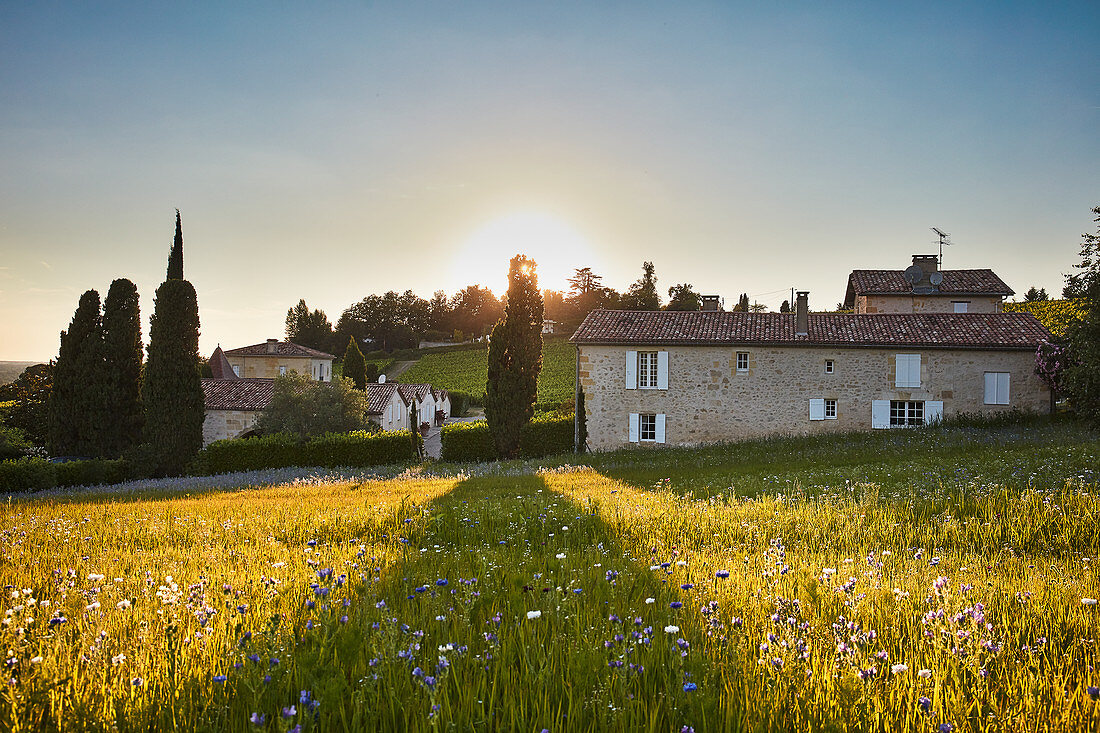 Landschaft und Gebäude, Château Biac, Bordeaux, Frankreich