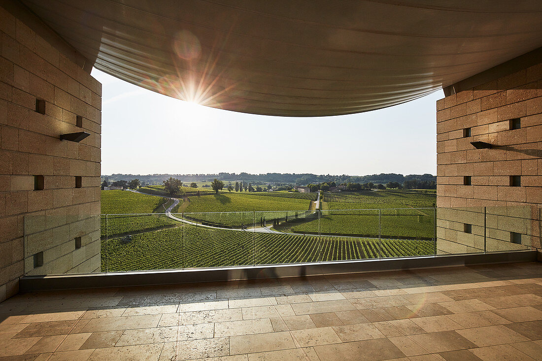 A view of the vineyard landscape, Chateau Peby Faugeres, Saint Emilion, Bordeaux, France