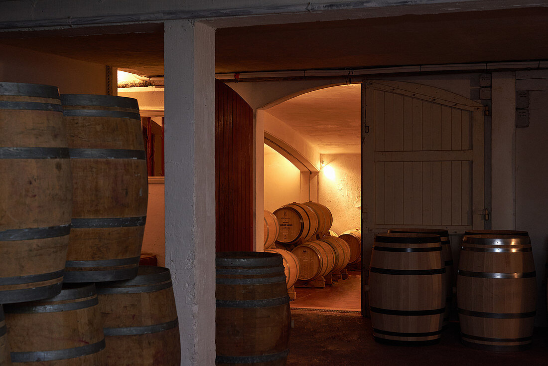 Barrique cellar, Clos Triguedina, Cahors, Vire sur Lot, France