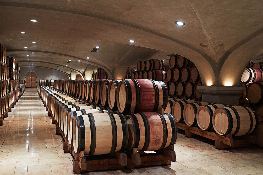 Barrique cellar, E.Guigal, Northern Rhone, France