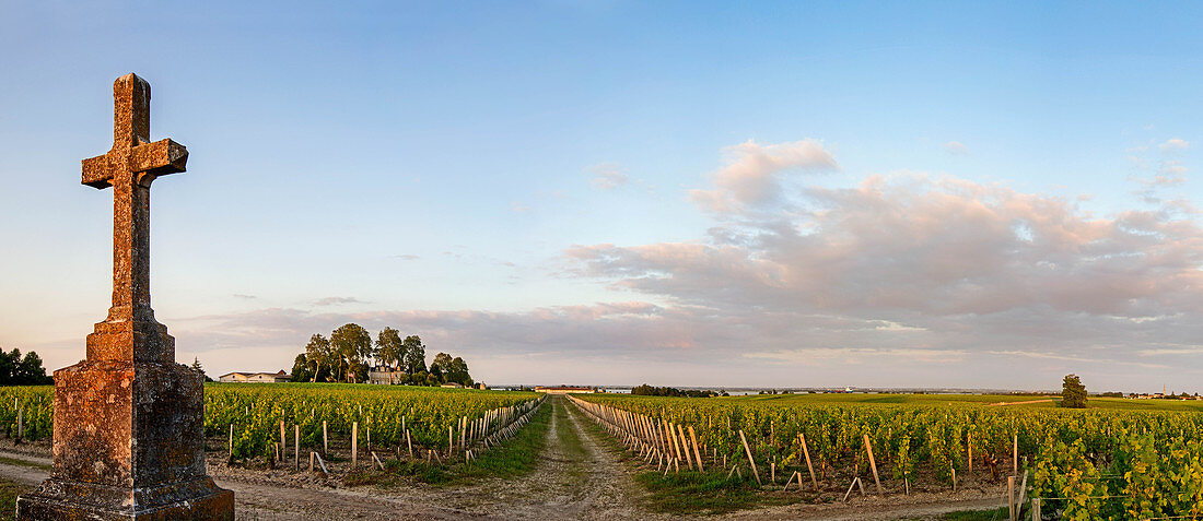 Panoramablick vom Château Pichon Comtesse de Lalande, Pauillac, Bordeaux, Frankreich