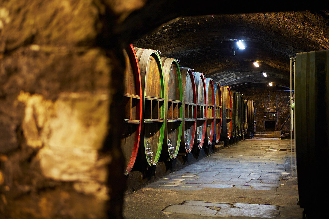 Barrel cellar, Erbgraf Neipperg vineyard, Württemberg, Germany
