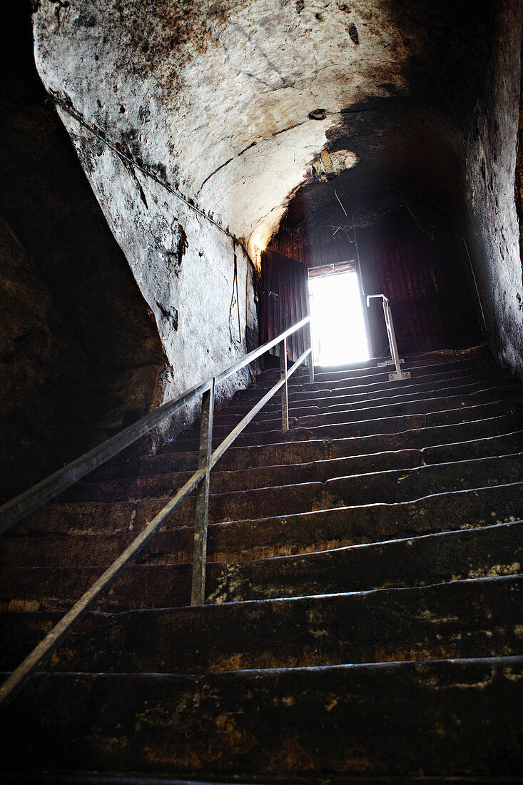 Cellar steps, Graf Adelmann vineyard, Württemberg, Germany