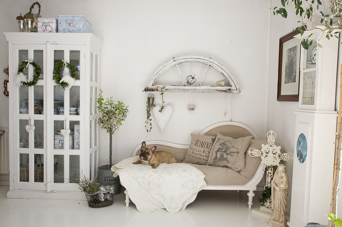 Hund liegt auf einer Recamiere im Wohnzimmer im Shabby Chic