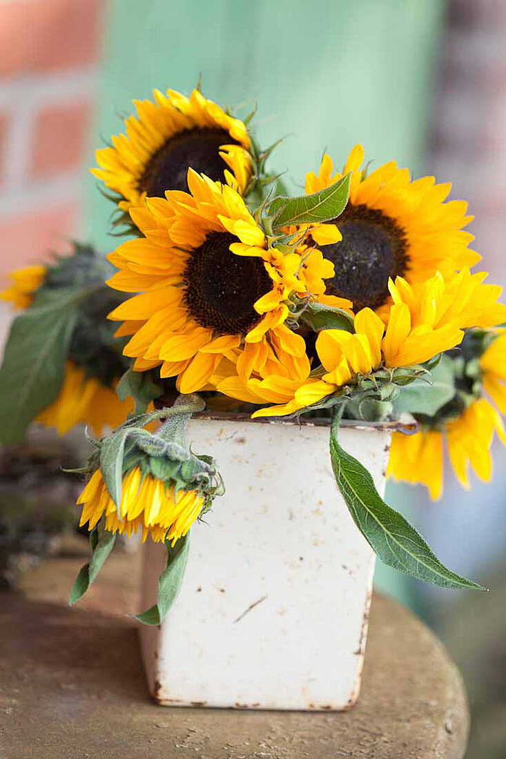 Bouquet of sunflowers