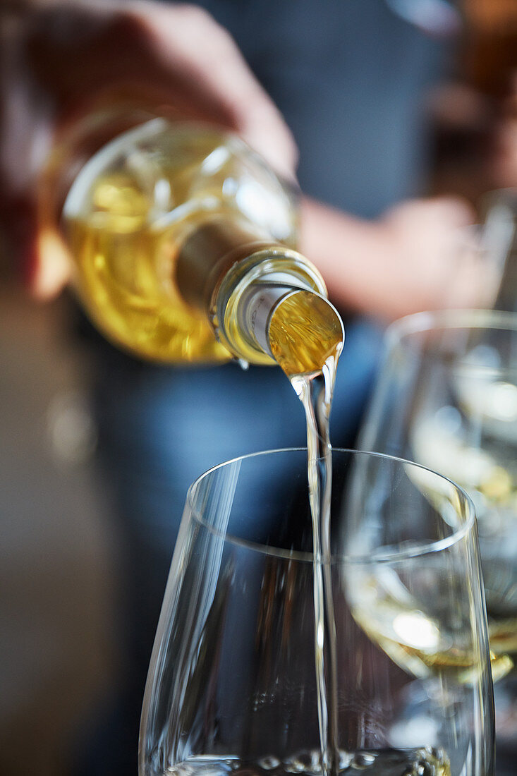 Wine tasting, Château Lafaurie Peyraguey, Sauternes, Bommes, France