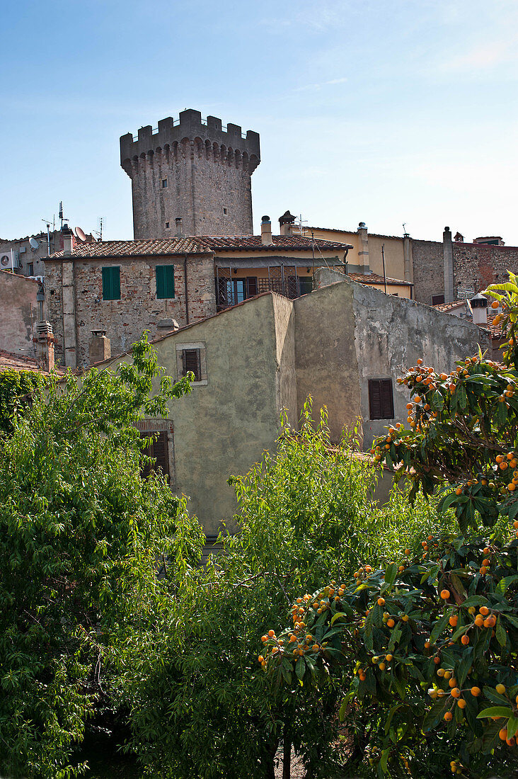 A view across the roofs, Tenuta Monteverro, Maremma, Tuscany, Italy