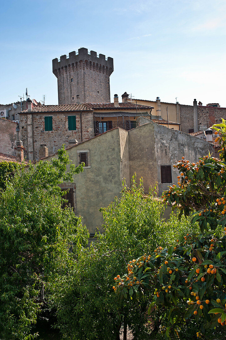 Blick über die Dächer, Tenuta Monteverro, Maremma, Toskana, Italien