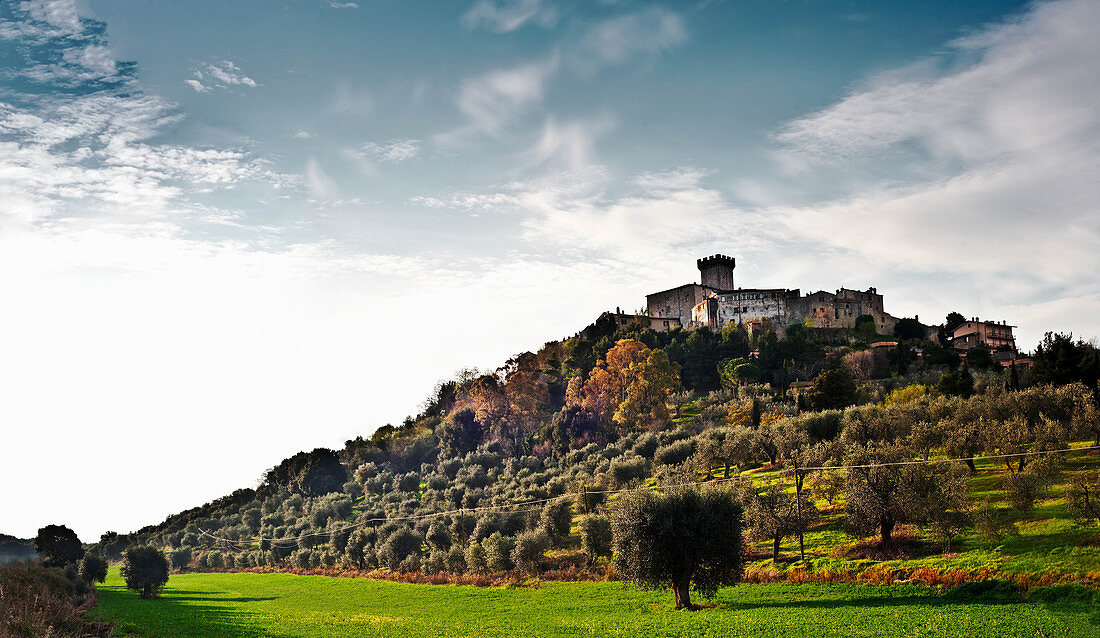 Vineyard landscape and vineyards, Tenuta Monteverro, Maremma, Tuscany, Italy