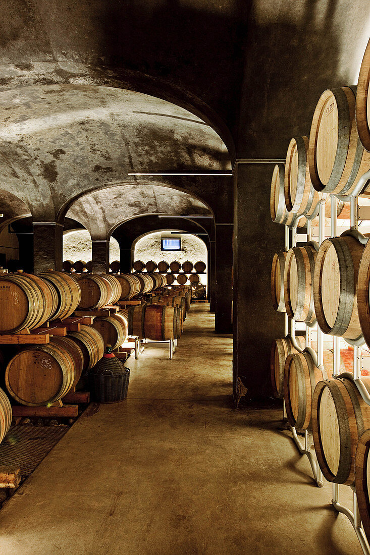 Wine barrels in a natural cellar, Foradori Elisabetta vineyard, Trentino, Italy