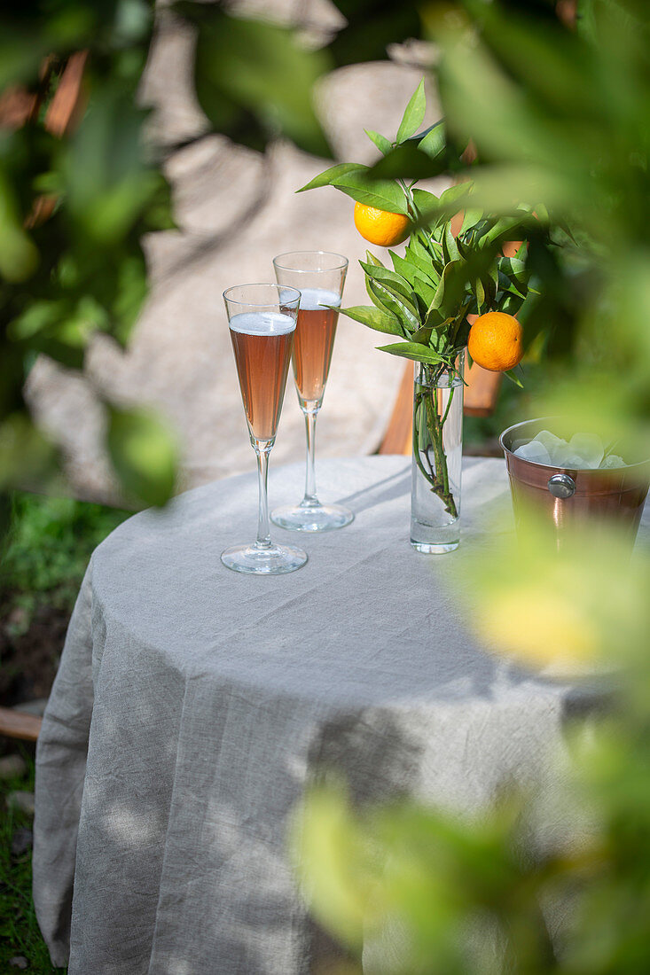 Table in the garden near the orange tree with two glasses of sparkling rose champagne