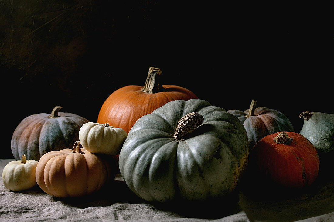 Colorful pumpkins collection different size and cultivars on linen tablecloth