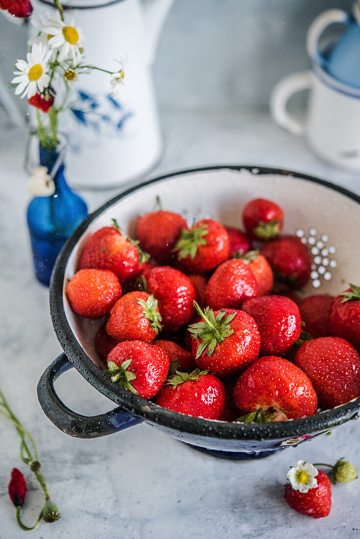 Fresh strawberries in a navy blue colander