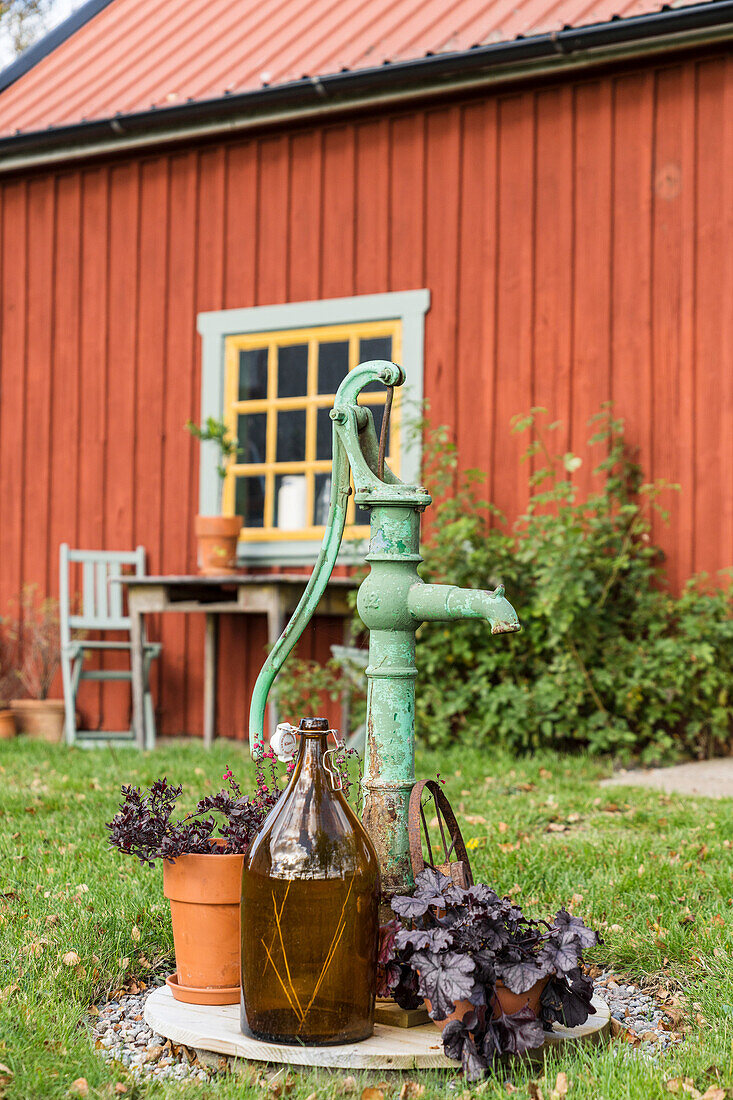 Hand pump, brown demijohn and deep purple heucheras outside red house