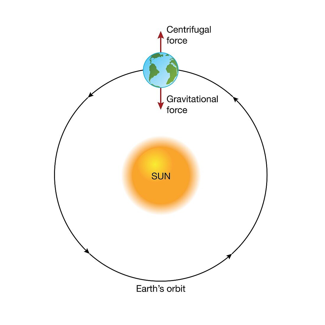 Earth orbiting the Sun, illustration
