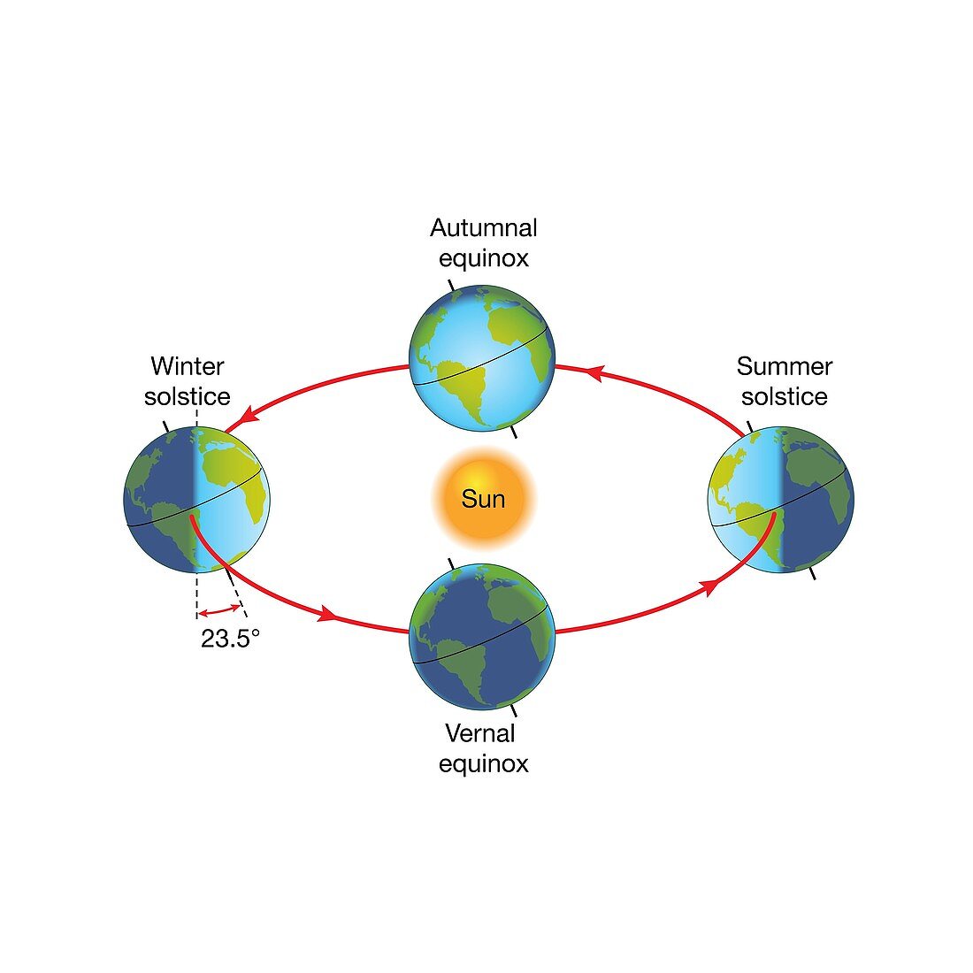 Earth's seasons, illustration