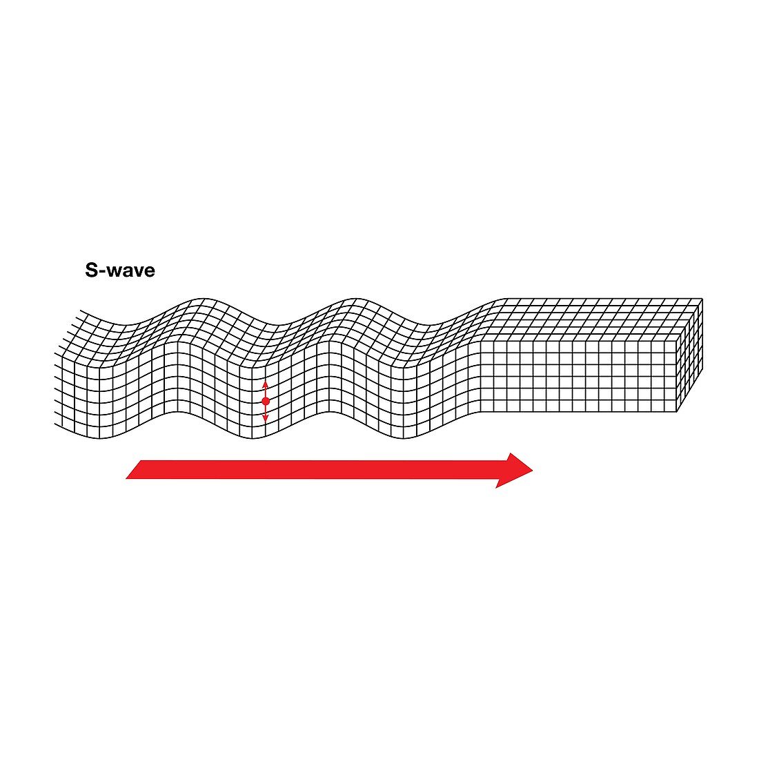 Seismic S-wave propagation, illustration