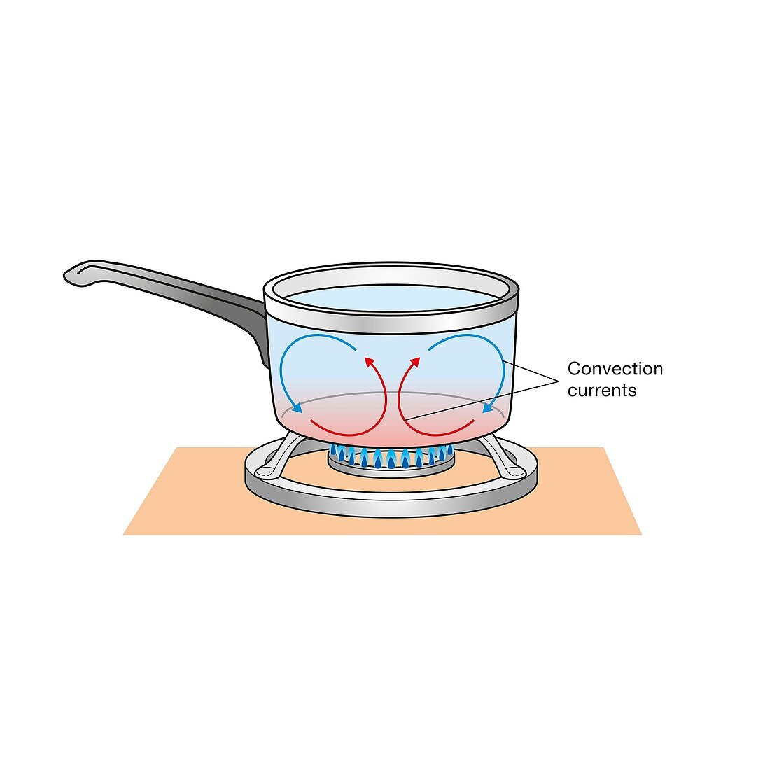 Convection currents in a saucepan, illustration