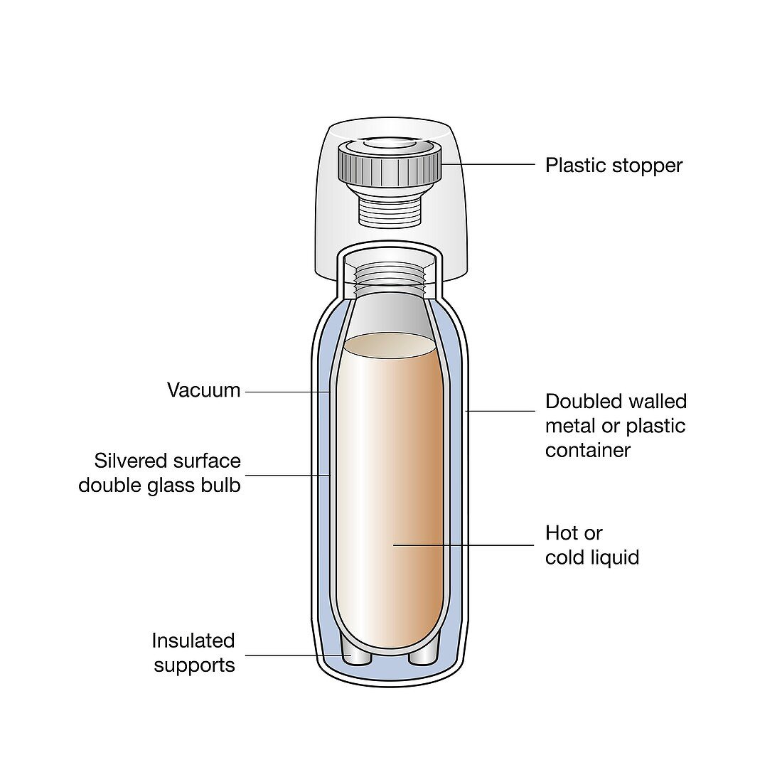 Vacuum flask, illustration