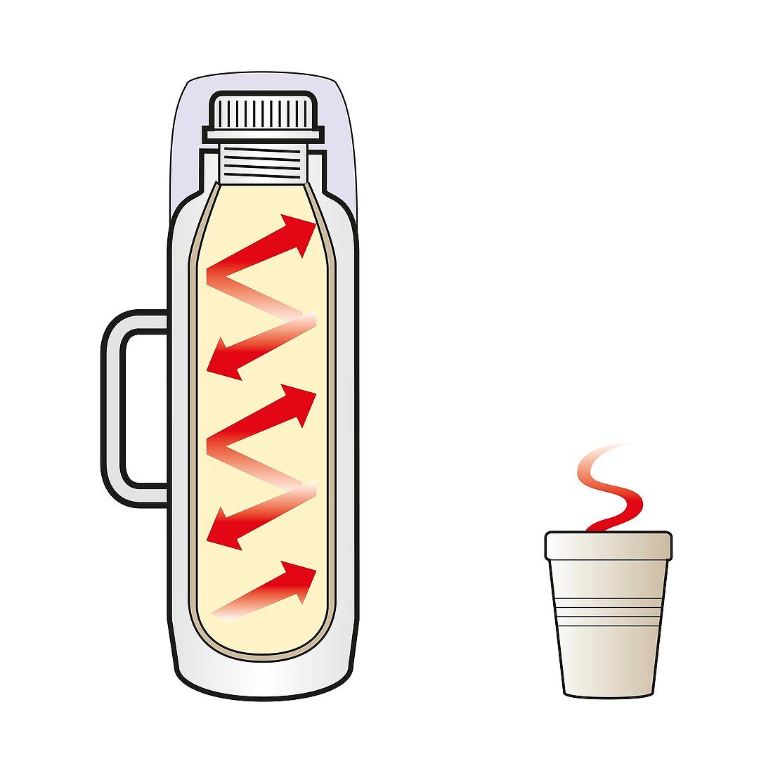 Vacuum flask, illustration