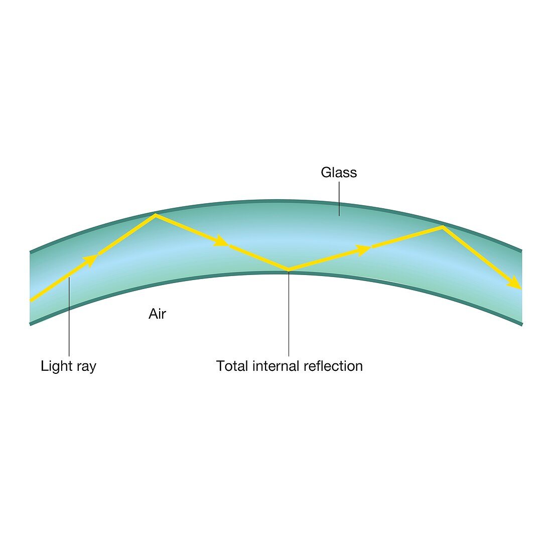 Total internal reflection in an optical fibre, illustration