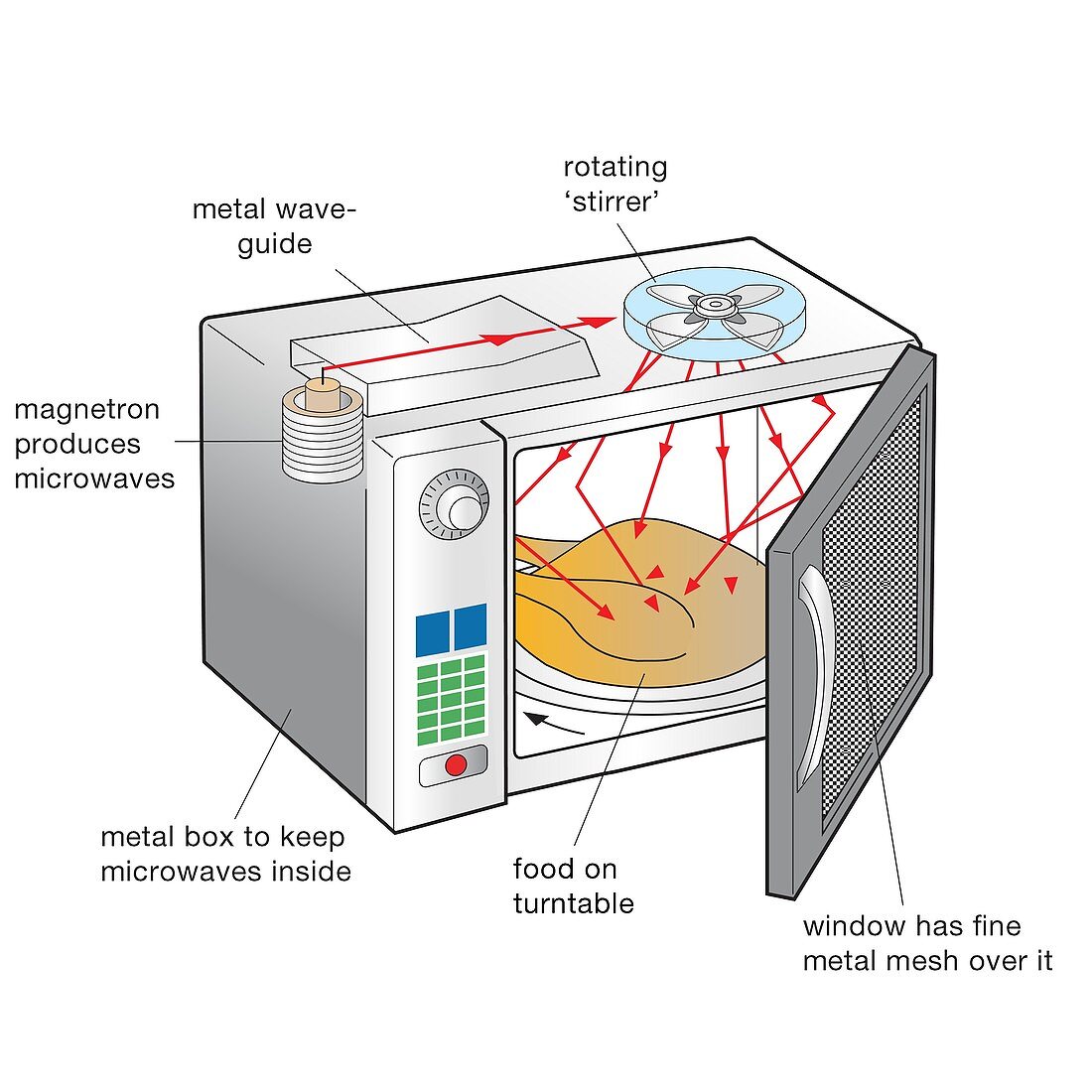 Microwave oven, illustration