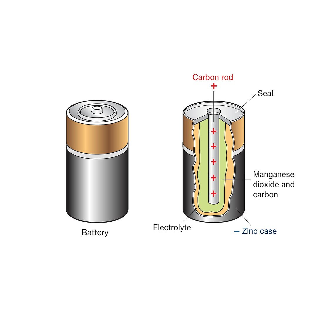 Zinc-carbon battery, illustration