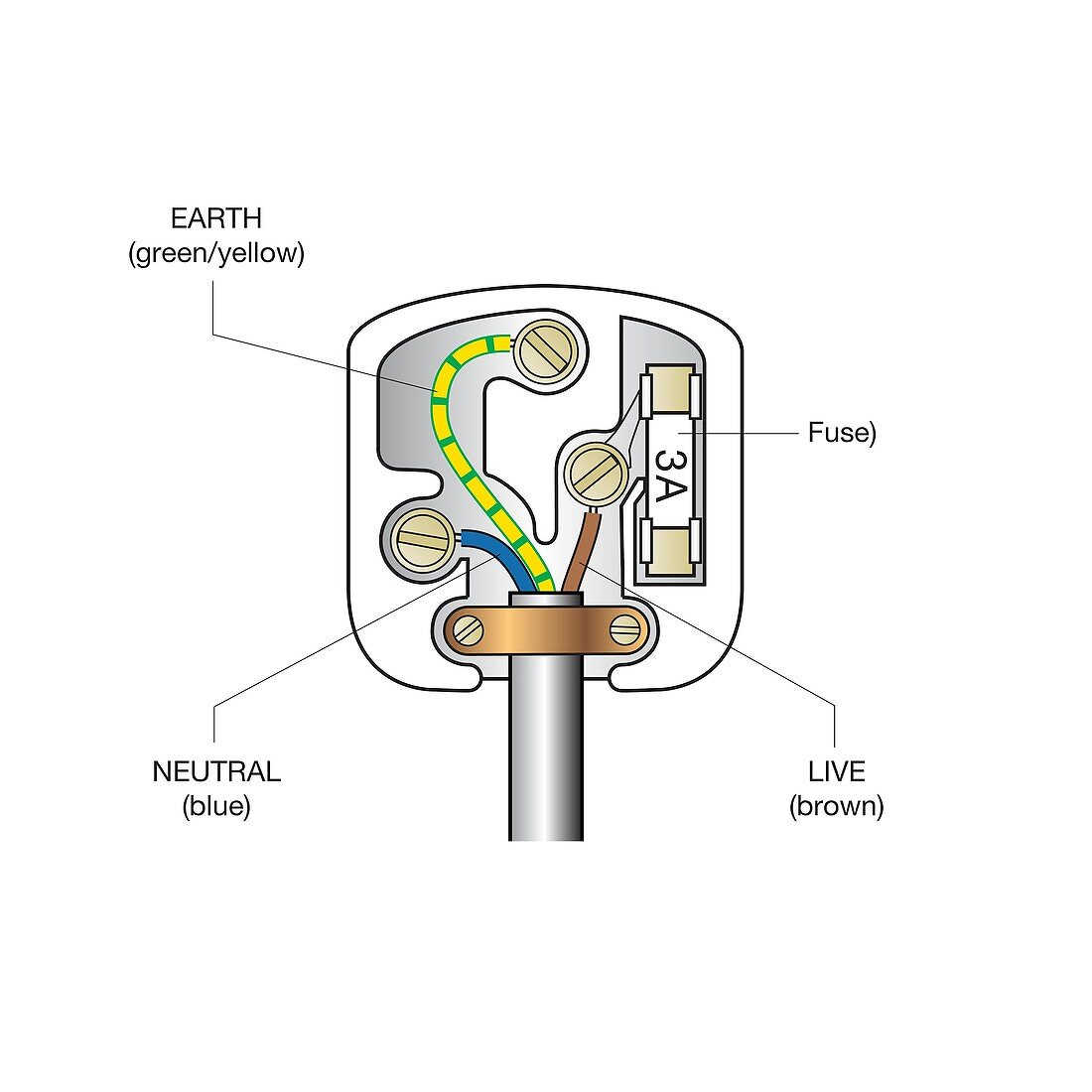 Three-pin plug, illustration