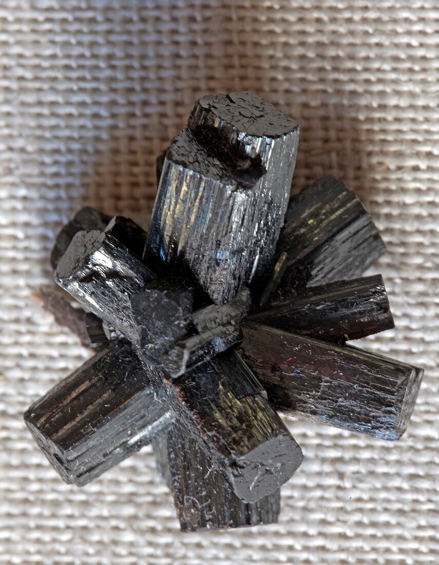 Prismatic manganite crystals