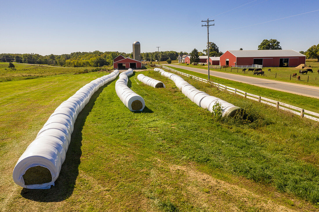 Plastic wrapped hay