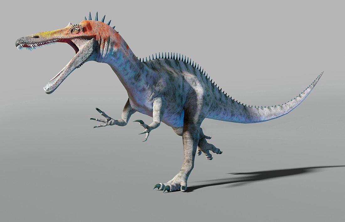 Artwork of the dinosaur suchomimus