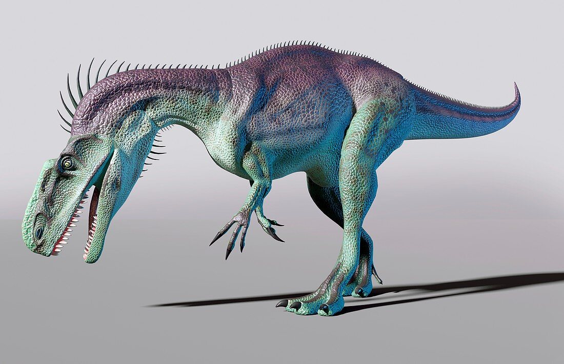 Artwork of the dinosaur monolophosaurus