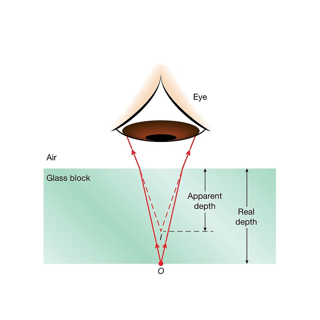 Refraction, real depth and apparent depth, illustration