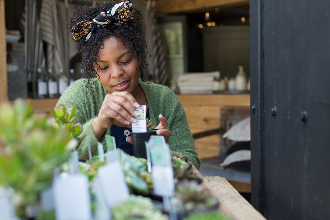 Female shop owner arranging succulent display
