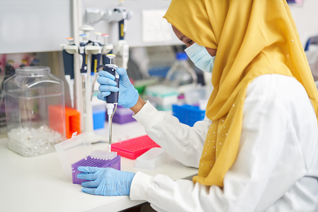 Scientist in hijab and face mask using pipette