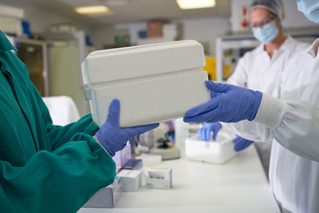 Scientists in rubber gloves passing specimen cooler