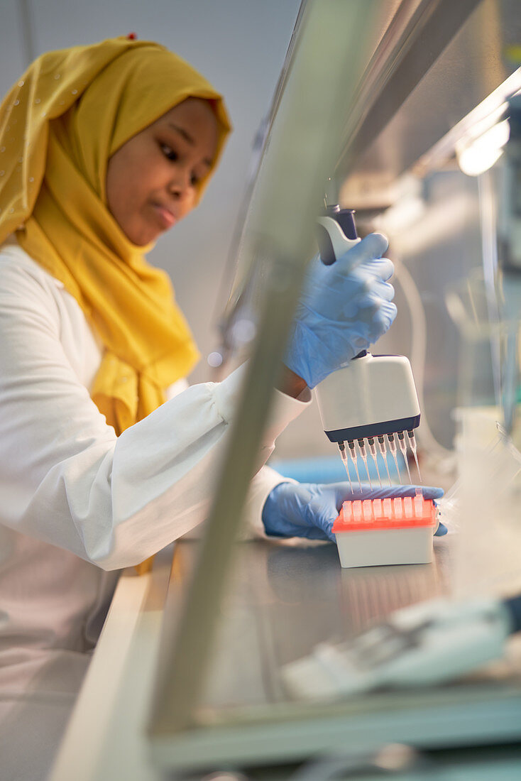Scientist in hijab filling pipette tray at fume hood