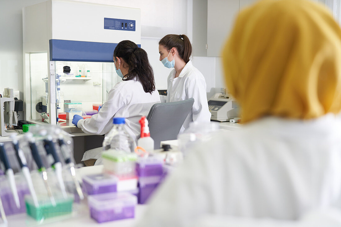 Female scientists working at fume hood in laboratory