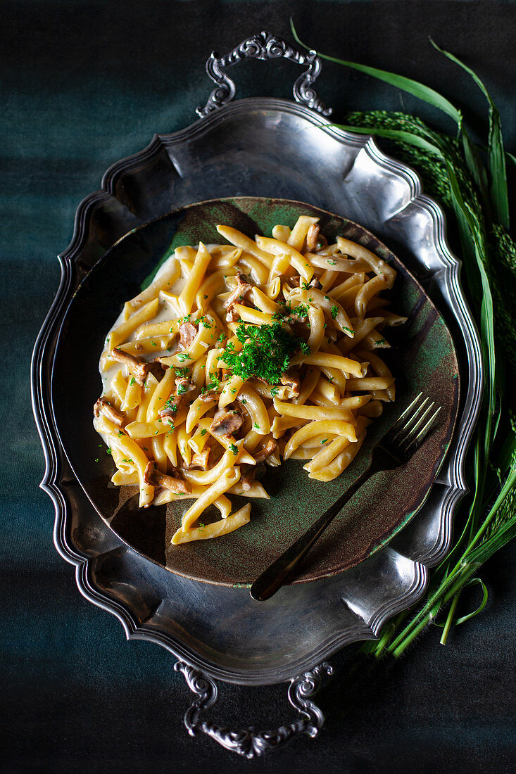 Penne mit Pfifferlingssauce