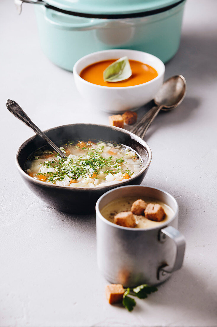 Erbsensuppe mit Croûtons, Gemüsesuppe und Tomatensuppe