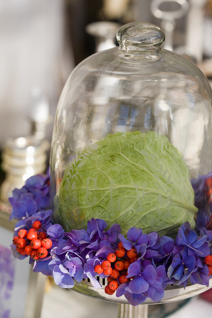 Glass bell jar with savoy leaf and wreath of hydrangea blossoms and rowan berries